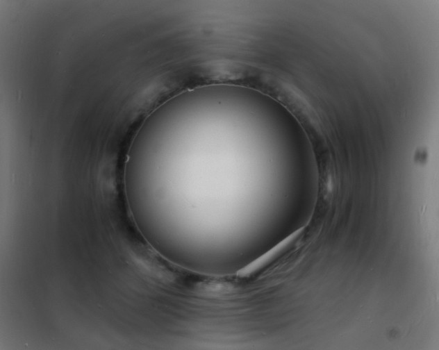 X0000102220512200807251214