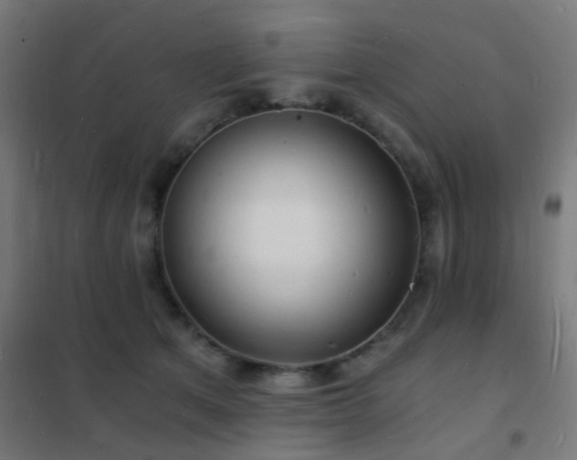 X0000102220513200807251214