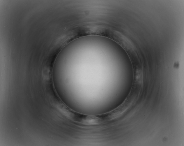 X0000102220514200807251214