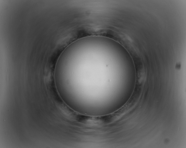 X0000102220515200807251214