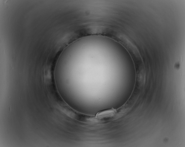 X0000102220516200807251214