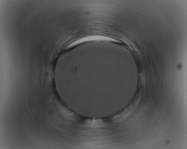 X0000102220517200807251214