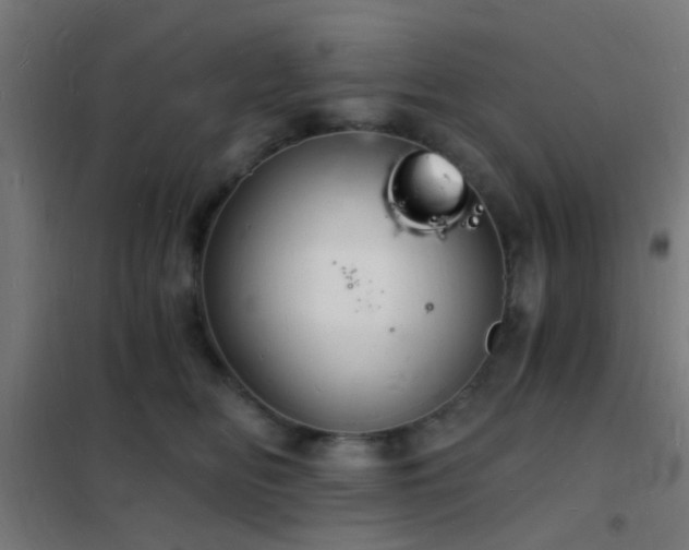 X0000102220518200807251214