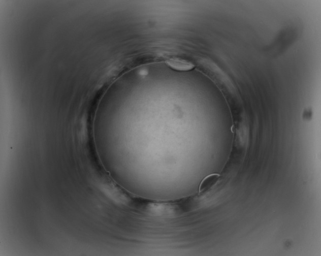 X0000102220520200807251214