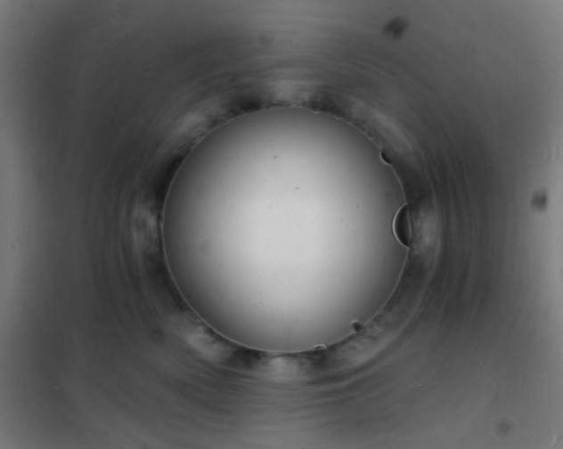 X0000102220522200807251214