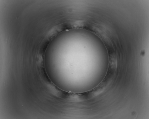 X0000102220523200807251214