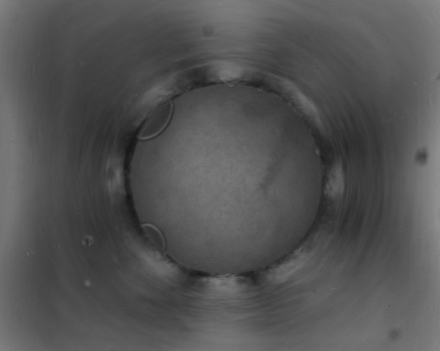 X0000102220524200807251214