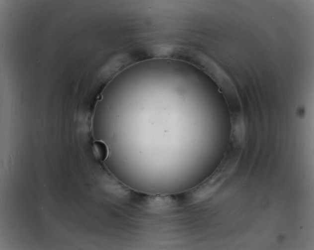 X0000102220525200807251214