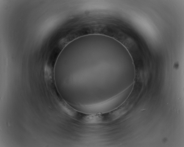 X0000102220526200807251214