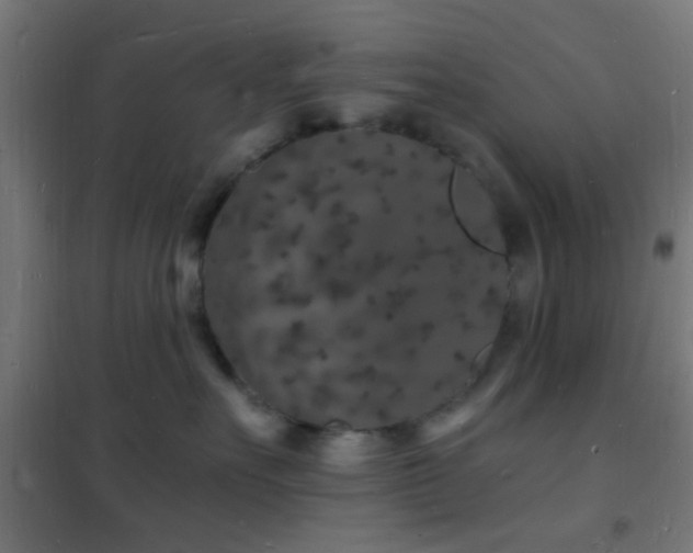 X0000102220527200807251214