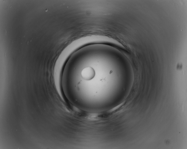 X0000102220528200807251214