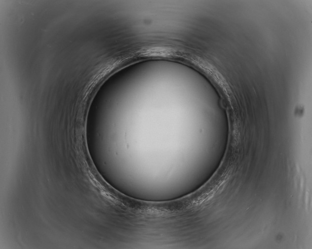 X0000102220529200807251213