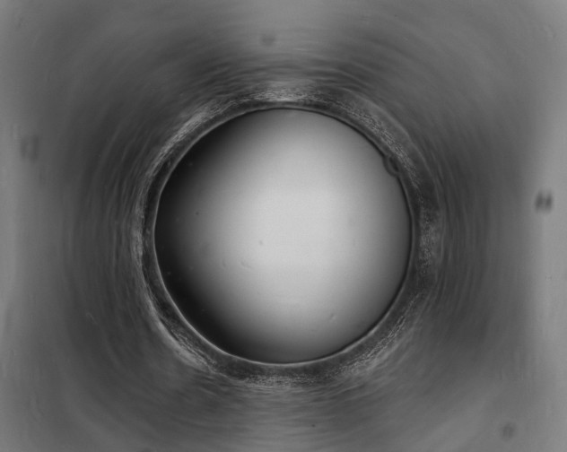 X0000102220530200807251213