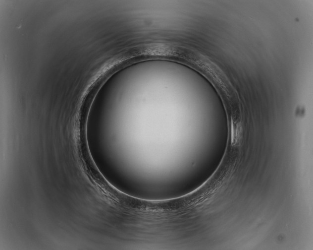 X0000102220531200807251213