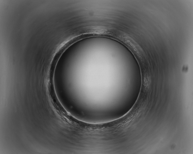 X0000102220532200807251213