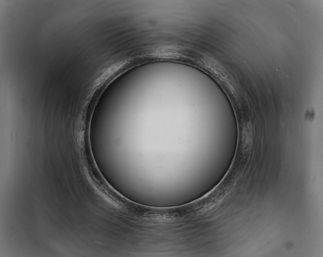 X0000102220533200807251213