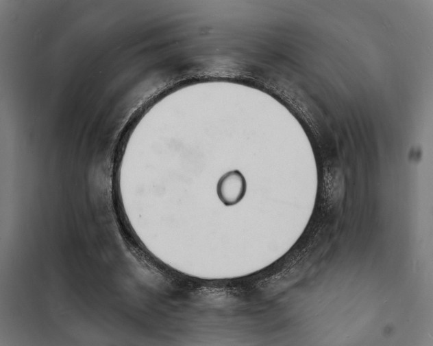 X0000102220534200807251213