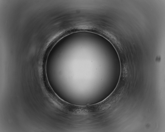 X0000102220535200807251213