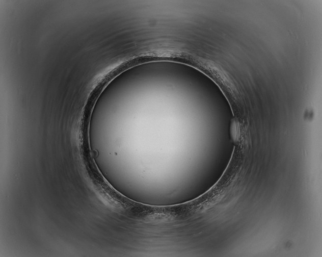 X0000102220536200807251213