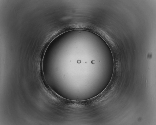 X0000102220537200807251213