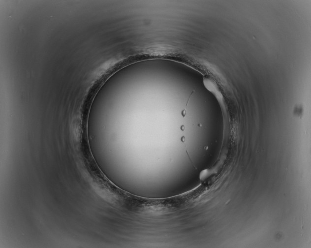 X0000102220540200807251213