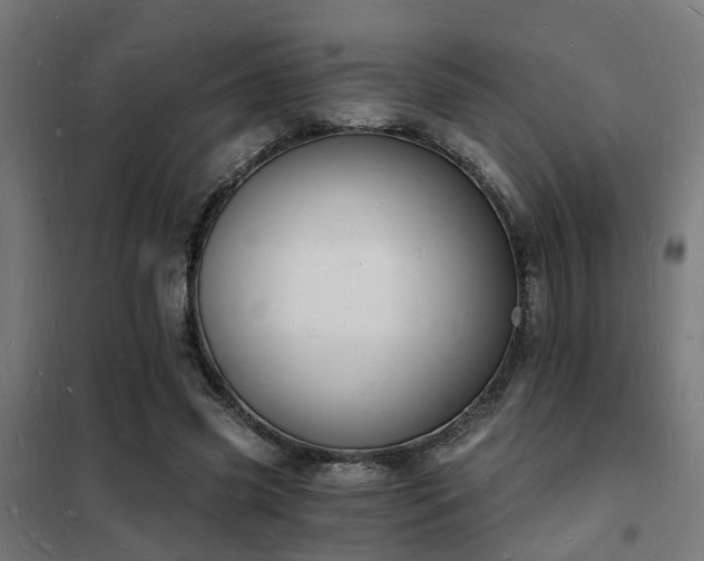 X0000102220541200807251213