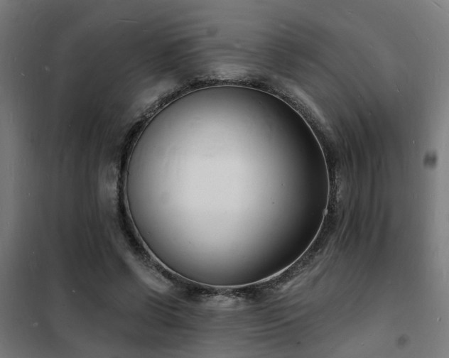 X0000102220542200807251213