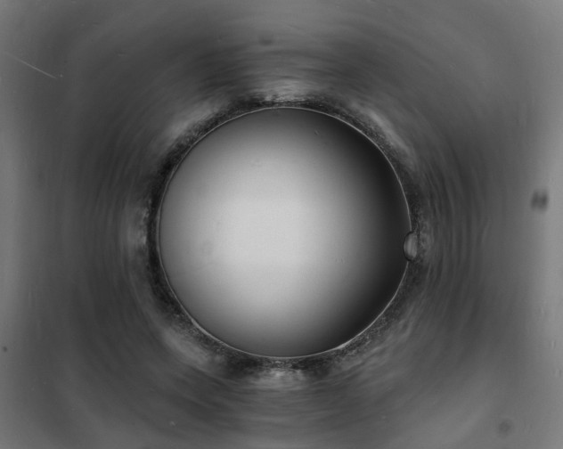 X0000102220543200807251213