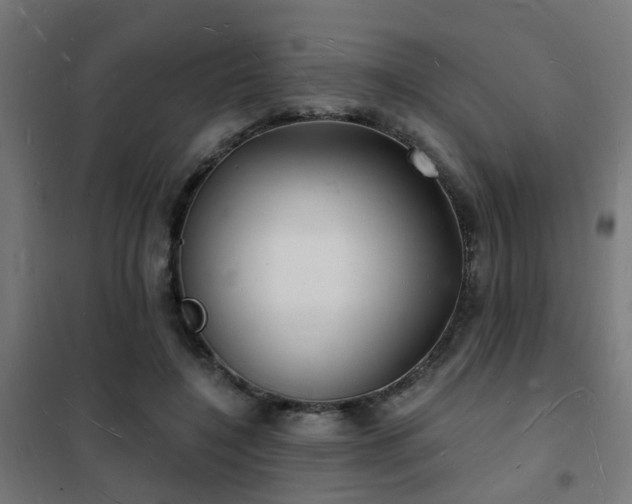 X0000102220548200807251213