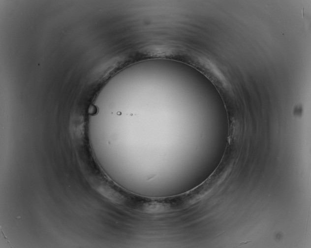 X0000102220549200807251213