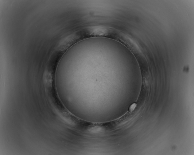 X0000102220551200807251213