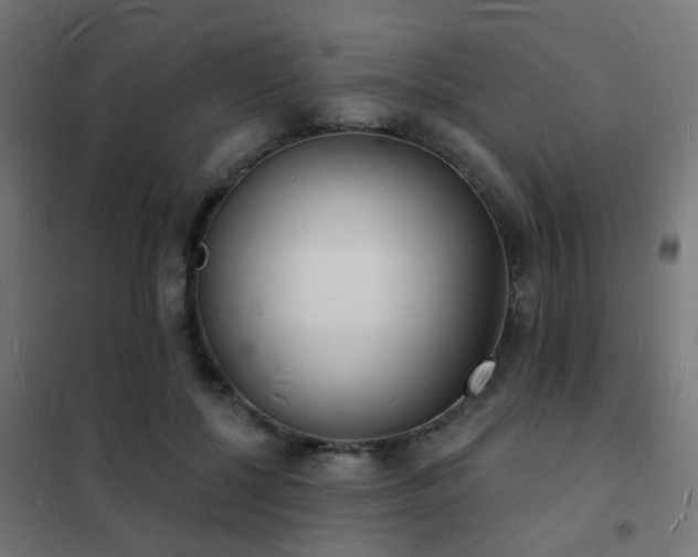 X0000102220552200807251213