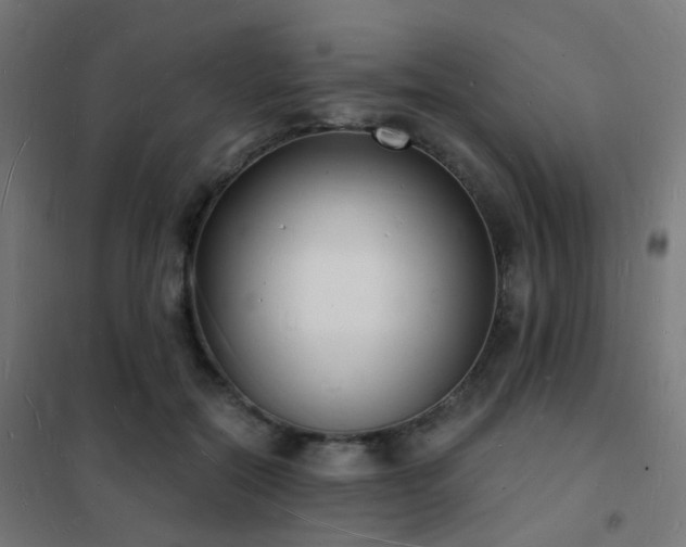 X0000102220554200807251213