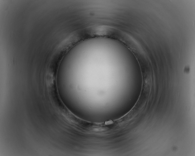 X0000102220555200807251213