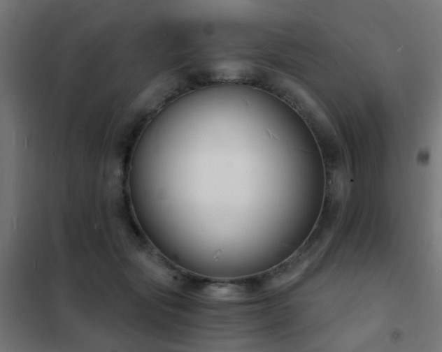 X0000102220557200807251213