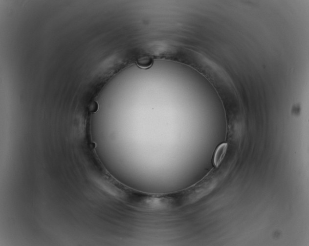 X0000102220558200807251213