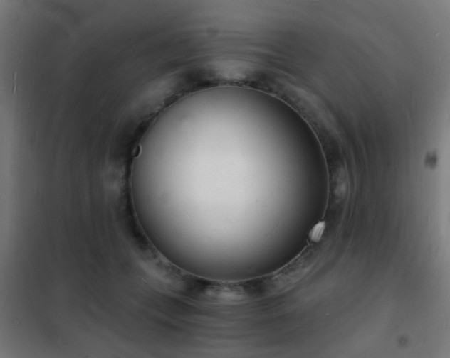 X0000102220559200807251213