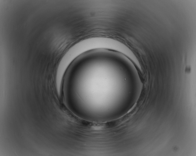 X0000102220560200807251213