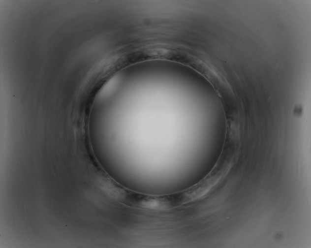 X0000102220561200807251213