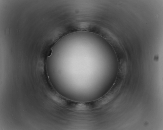 X0000102220562200807251213