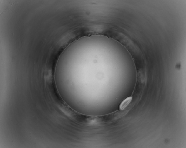 X0000102220564200807251213