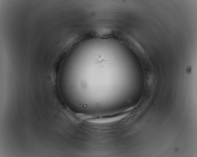 X0000102220565200807251213