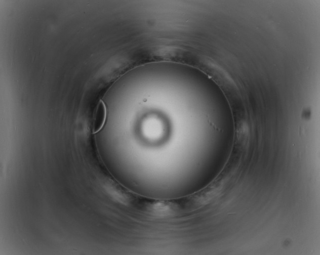 X0000102220566200807251213