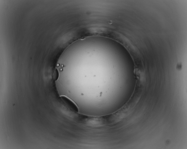 X0000102220567200807251213