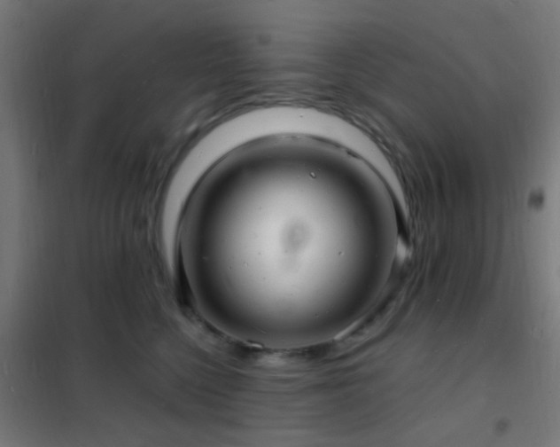 X0000102220568200807251213