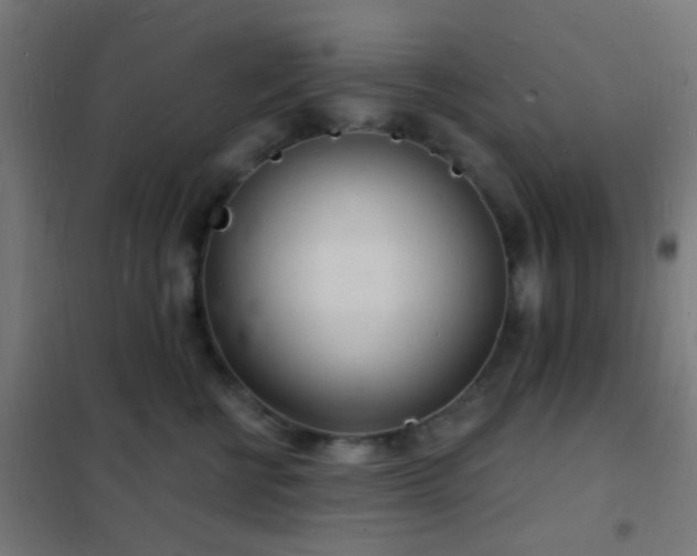 X0000102220570200807251213