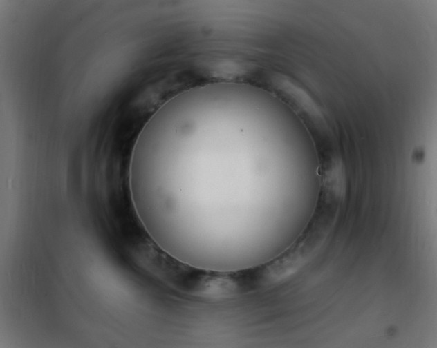 X0000102220572200807251213