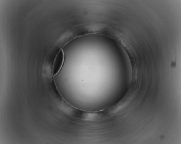 X0000102220575200807251214