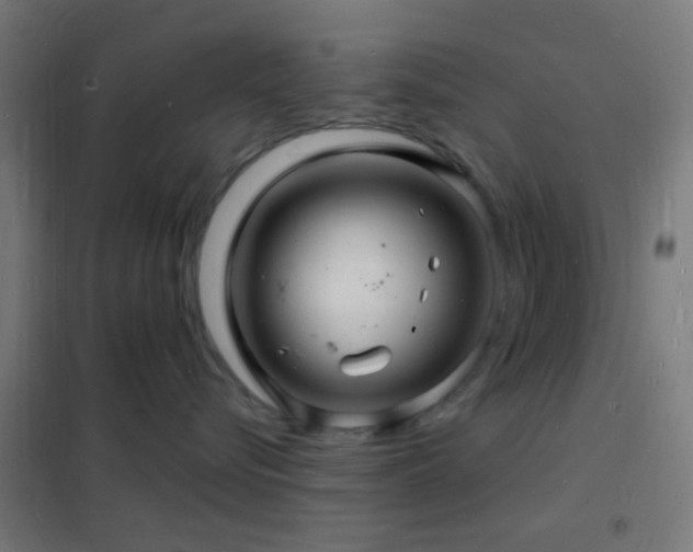 X0000102220576200807251214