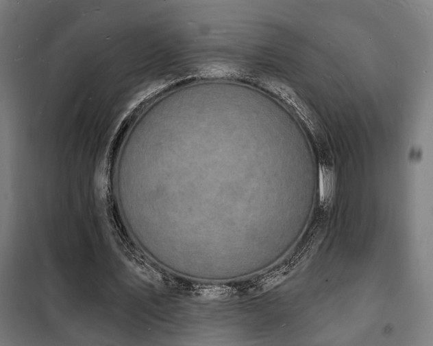 X0000102220579200807251213